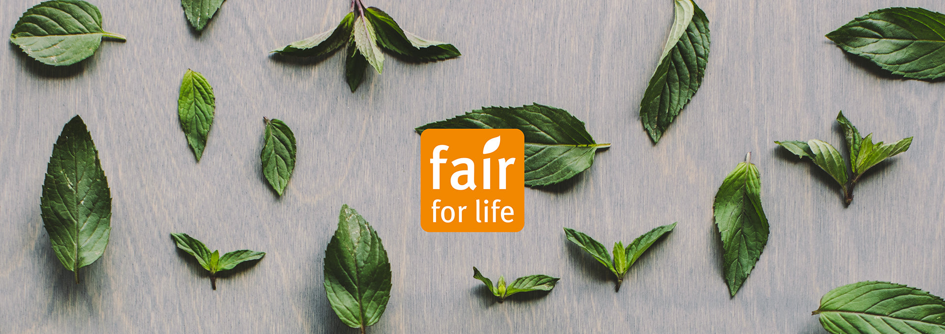 The Certification You May Not Know About: Fair for Life