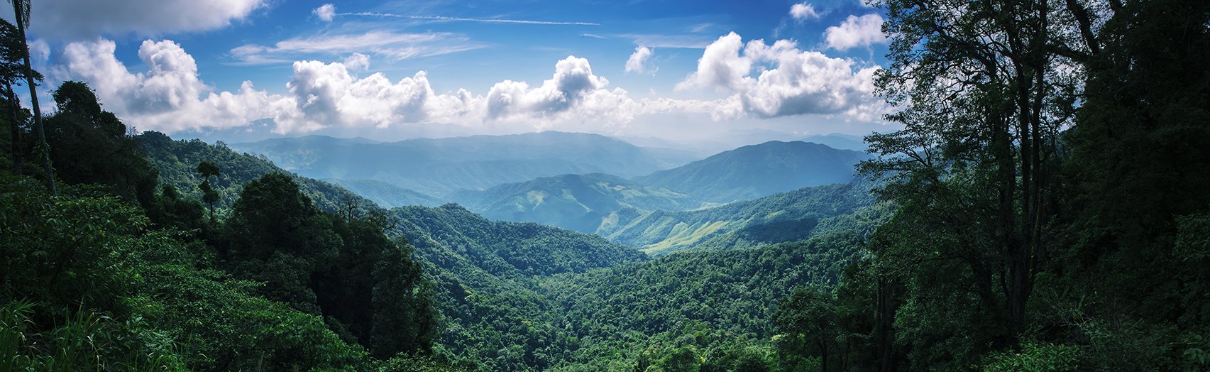 Why Wild Matters