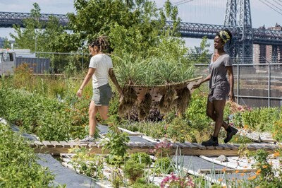 Traditional Medicinals Launches Herbs for All Initiative to Expand Access to Herbal Wellness and Education