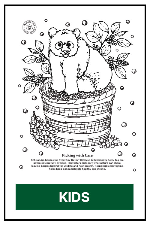 Kids panda coloring book - version 2