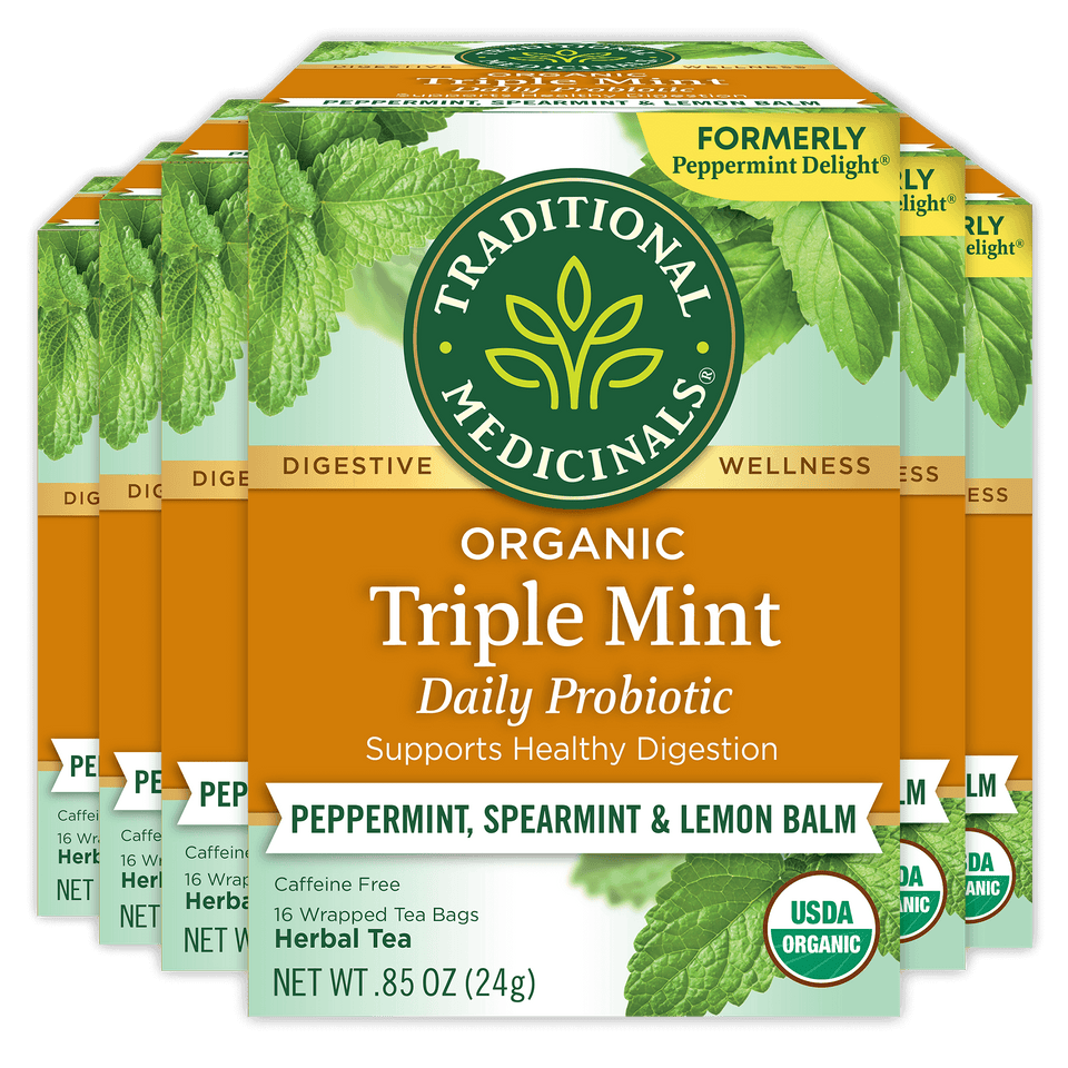 Triple Mint Daily Probiotic Tea 6 box